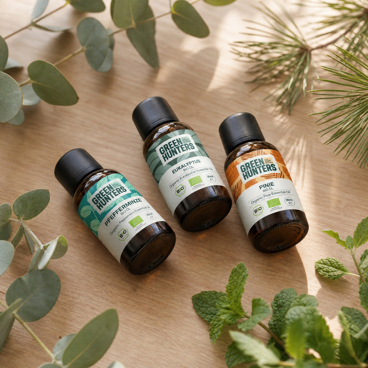 Atemfrei Set: Eukalyptus-, Pfefferminz- und Pinienöl von Green Hunters auf Holztisch mit Eukalyptus- und Pinienzweigen